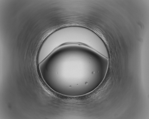 X0000112750389200909031531