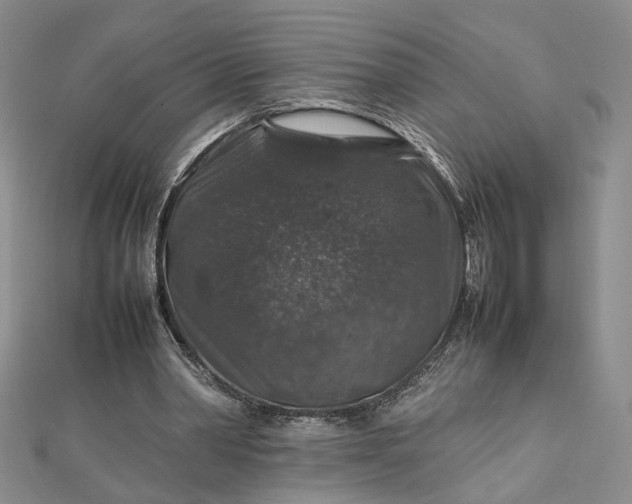 X0000112750390200909031531