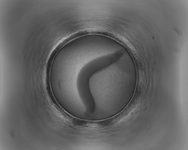 X0000112750391200909031531