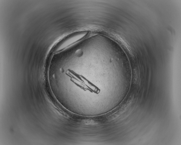 X0000112750392200909031531