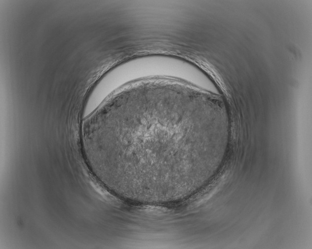 X0000112750393200909031531