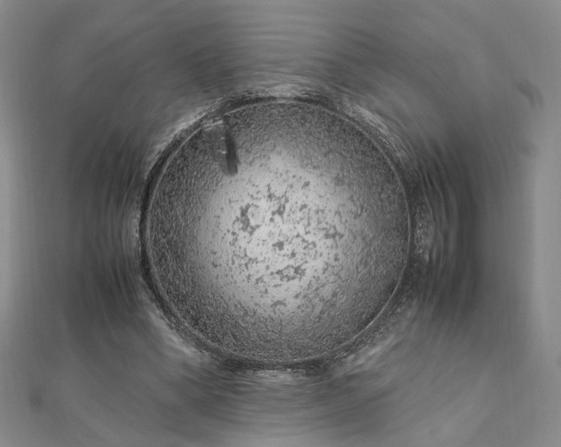 X0000112750394200909031531