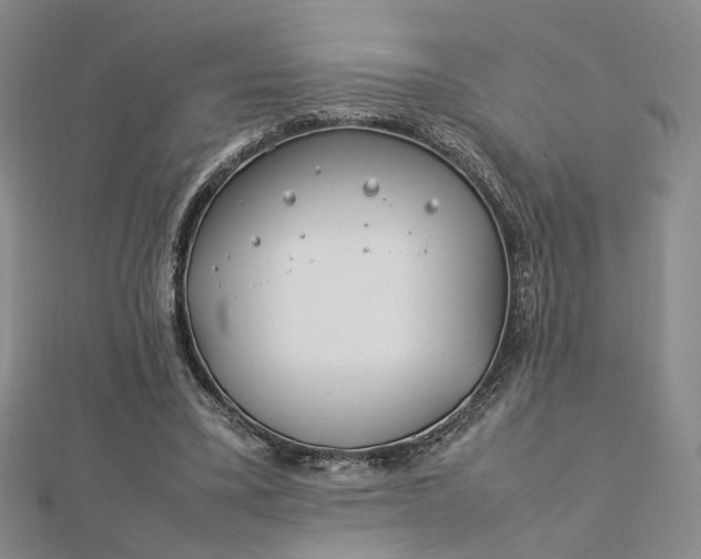 X0000112750395200909031531