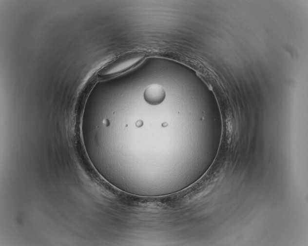 X0000112750396200909031531