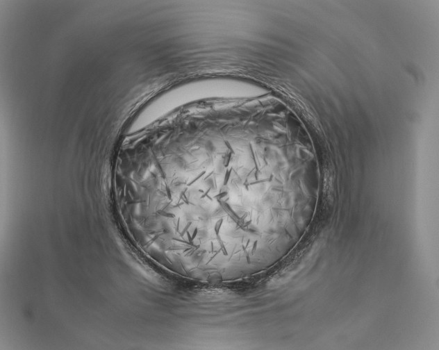 X0000112750397200909031531