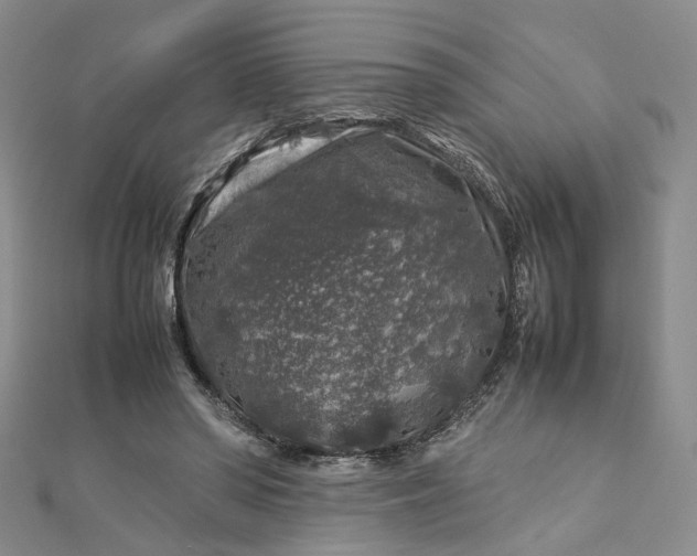 X0000112750398200909031531