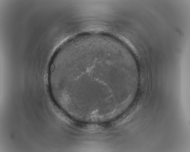 X0000112750399200909031531