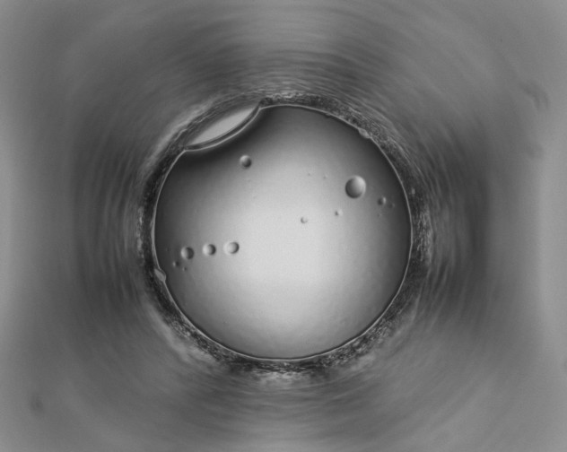 X0000112750400200909031531