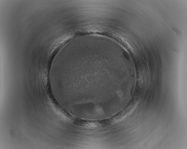 X0000112750402200909031531