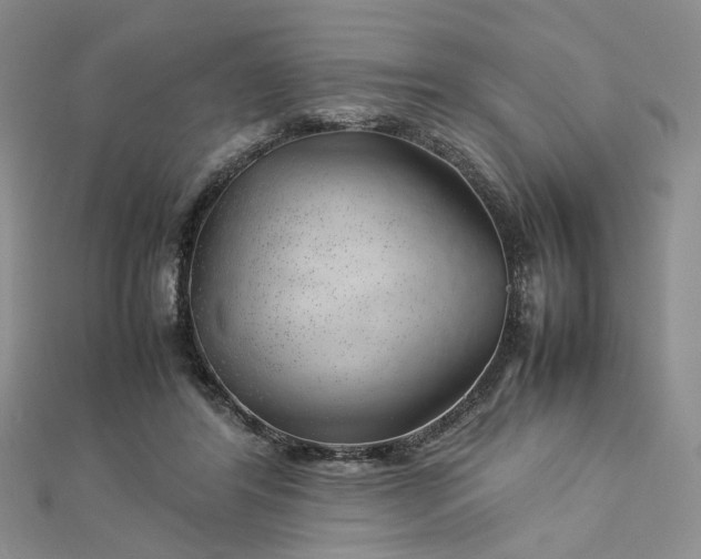 X0000112750404200909031531