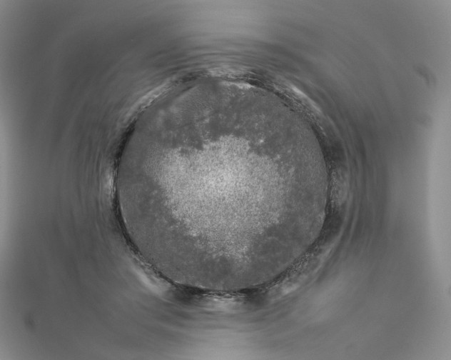 X0000112750405200909031531