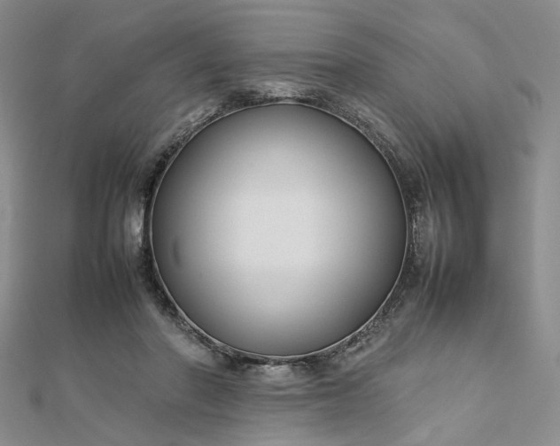 X0000112750406200909031531