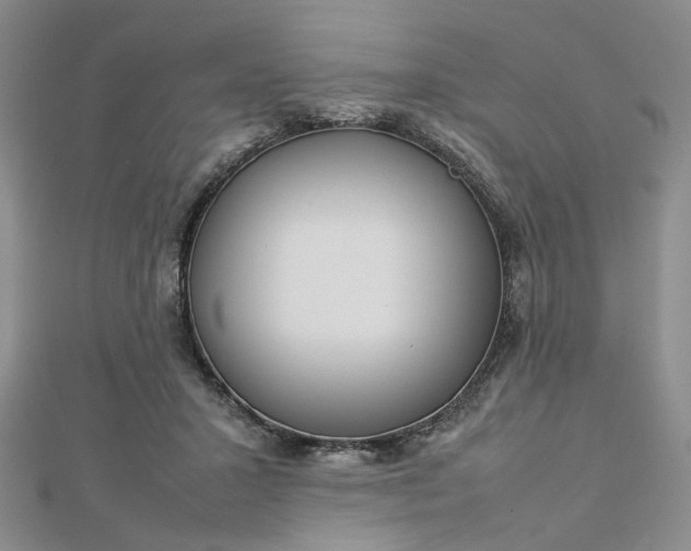 X0000112750407200909031531