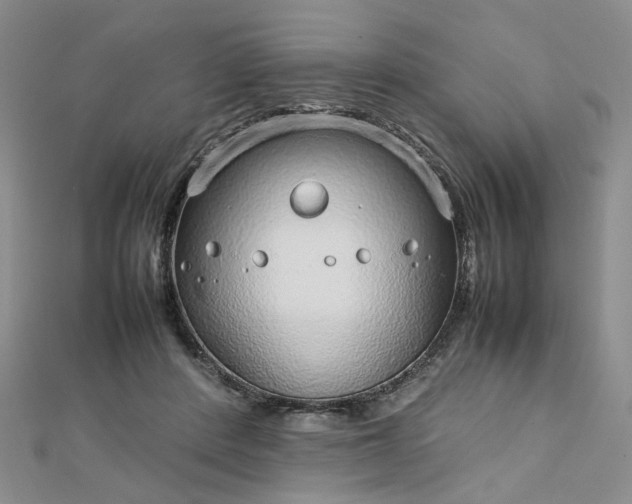 X0000112750408200909031531