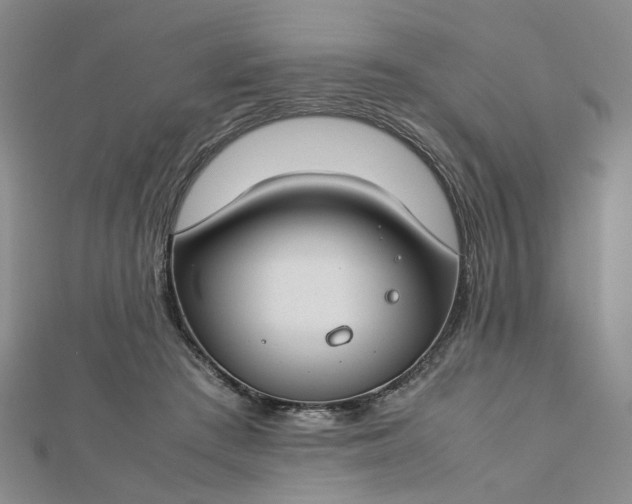 X0000112750409200909031531