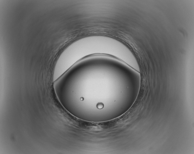 X0000112750411200909031531