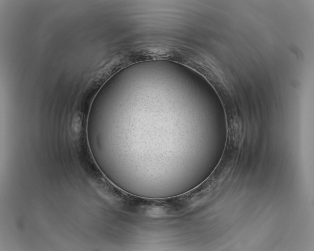 X0000112750412200909031531