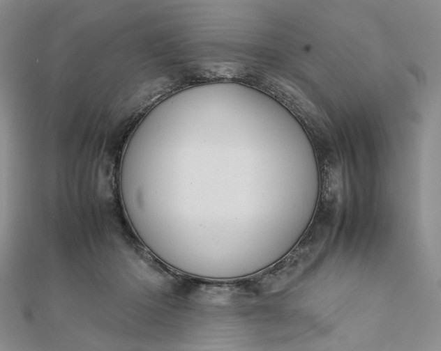 X0000112750414200909031531