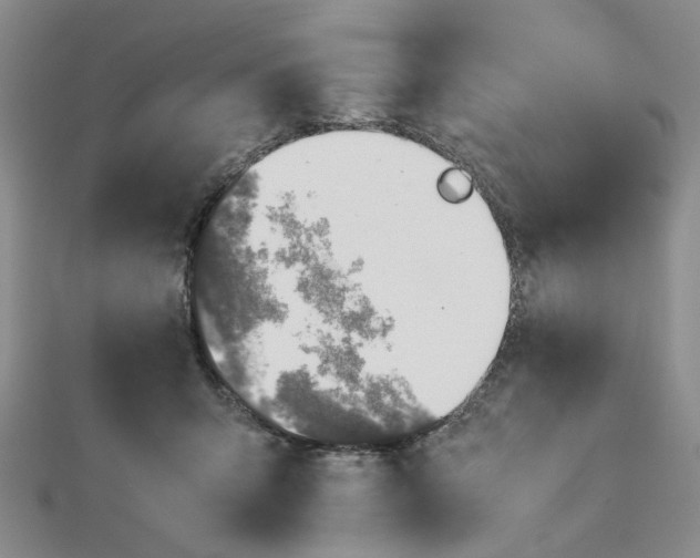 X0000112750415200909031531