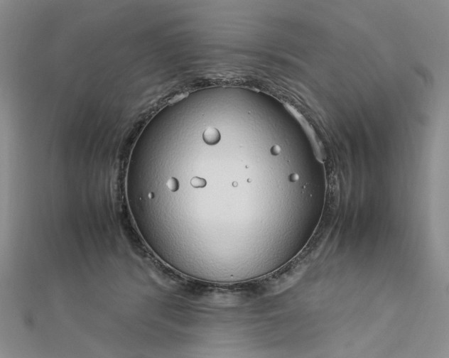 X0000112750416200909031531