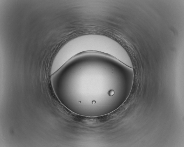 X0000112750417200909031531