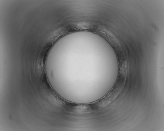 X0000112750418200909031531