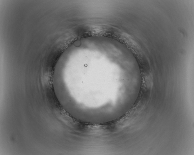 X0000112750419200909031531