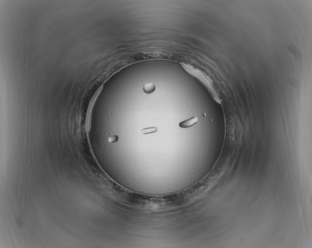 X0000112750420200909031531