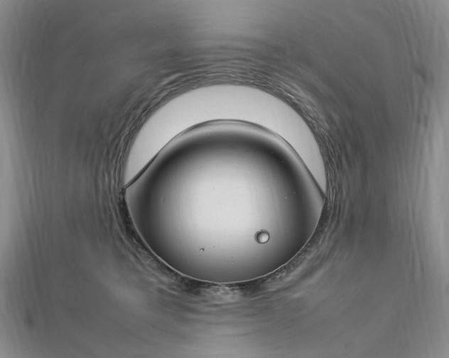 X0000112750421200909031531