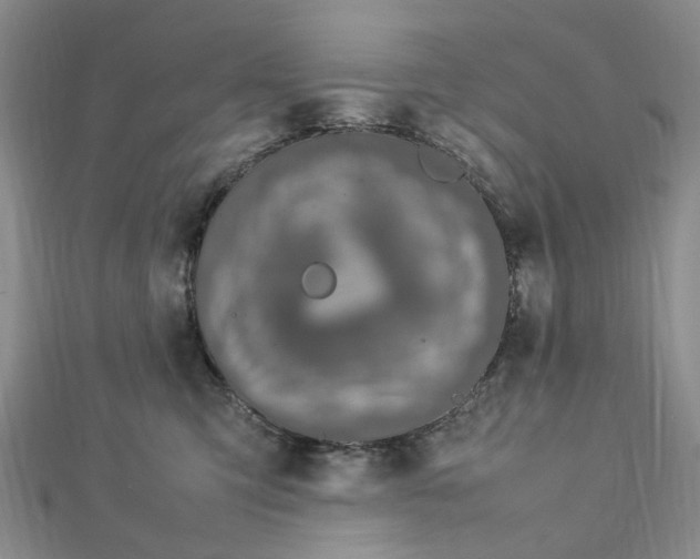 X0000112750423200909031531