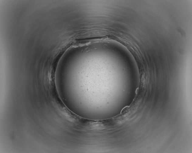 X0000112750424200909031531