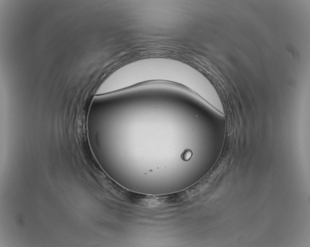 X0000112750425200909031531