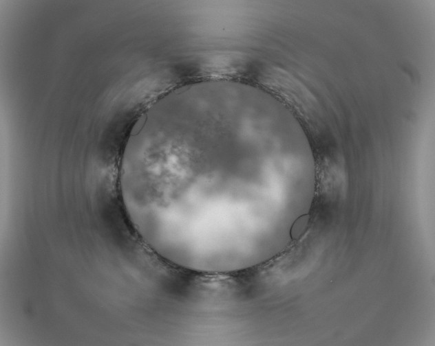 X0000112750427200909031531