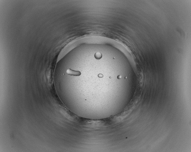 X0000112750428200909031531