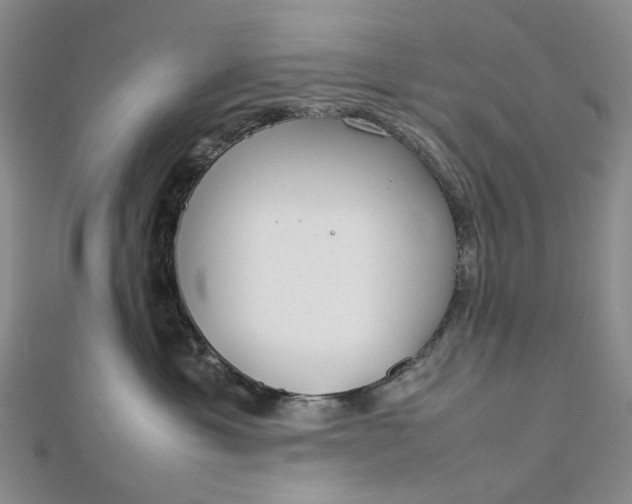 X0000112750429200909031531