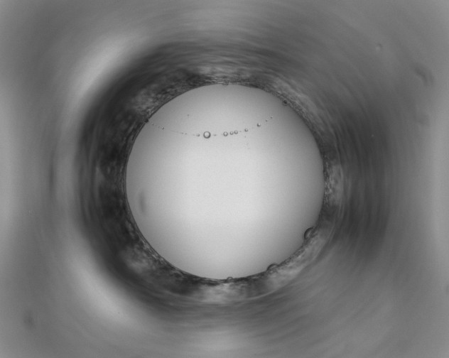 X0000112750430200909031531