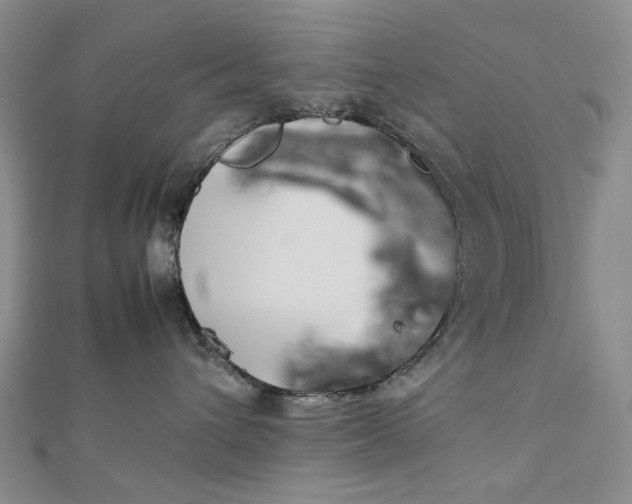 X0000112750432200909031531