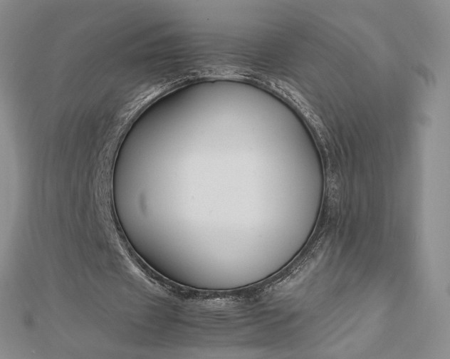 X0000112750433200909031530