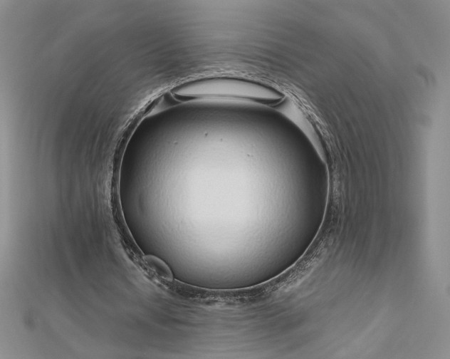 X0000112750434200909031530