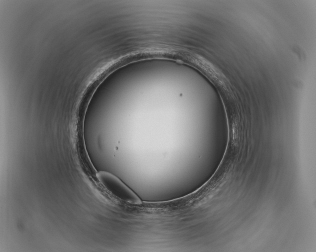 X0000112750436200909031530