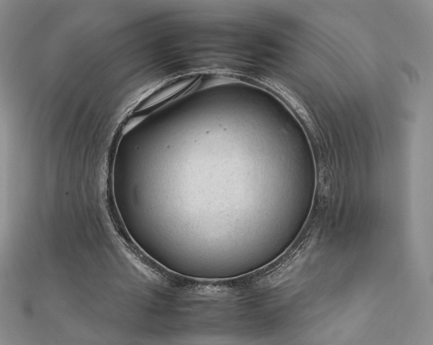 X0000112750437200909031530