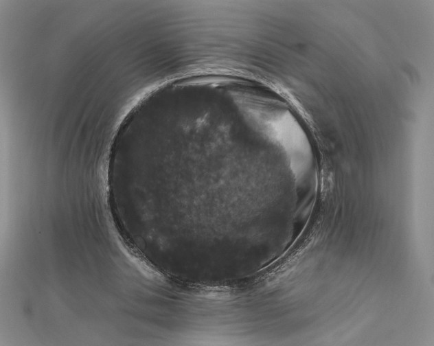 X0000112750438200909031530