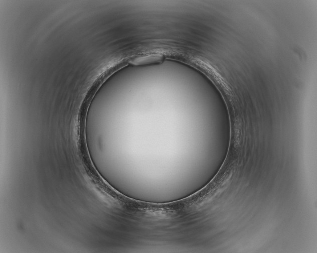 X0000112750439200909031530