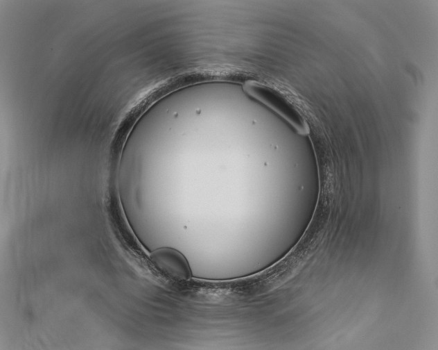 X0000112750440200909031530