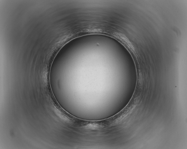 X0000112750441200909031530