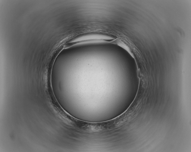 X0000112750442200909031530