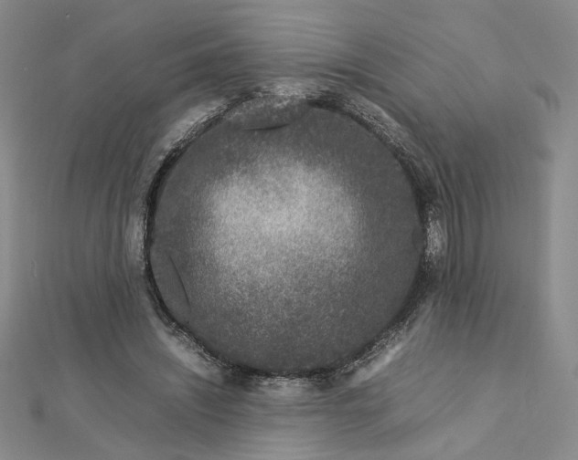 X0000112750444200909031530