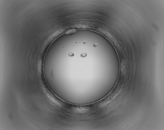 X0000112750445200909031530