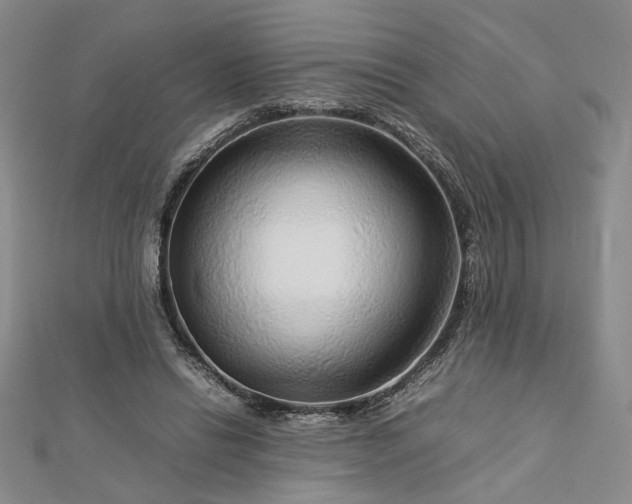 X0000112750446200909031530