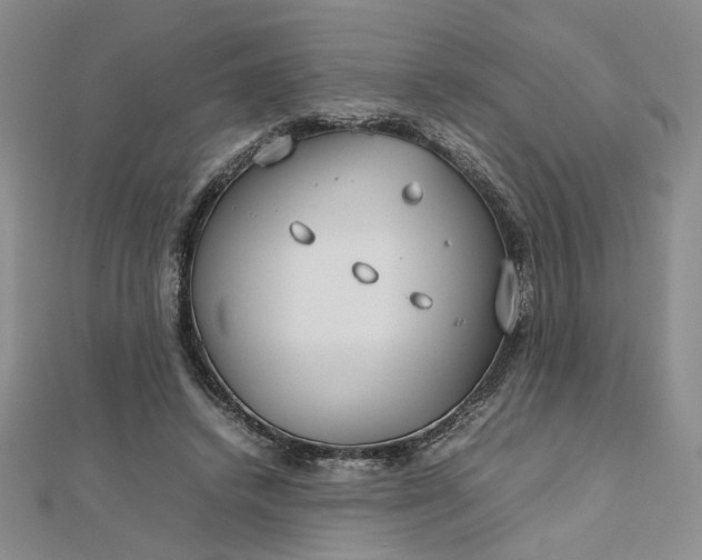 X0000112750448200909031530